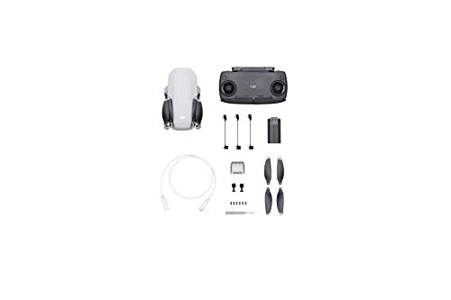 DJI Mavic Mini - Drone FlyCam Quadcopter UAV with 2.7K Camera 3-Axis Gimbal GPS 30min Flight Time, less than 0.55lbs, Gray