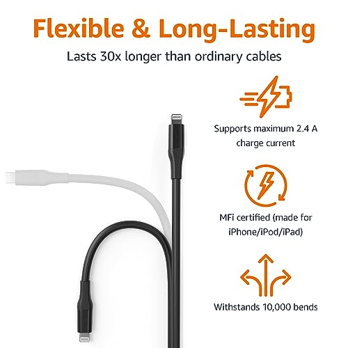 Amazon Basics Lightning to USB-A Cable for iPhone, 10 Feet, Black