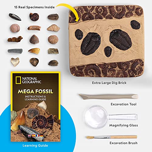 NATIONAL GEOGRAPHIC Mega Fossil Dig Kit - Excavate 15 Prehistoric Fossils Including Dinosaur Bones & Shark Teeth, Educational Toys, Great Science Kit Gift for Girls and Boys (Amazon Exclusive)