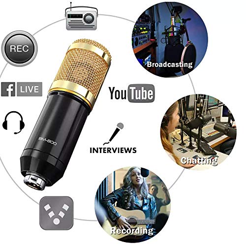 ALPOWL Podcast Equipment Bundle, Audio Interface with All in One Live Sound Card and Condenser Microphone, Perfect for Recording, Broadcasting, Live Streaming (Gold)