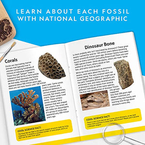 NATIONAL GEOGRAPHIC Mega Fossil Dig Kit - Excavate 15 Prehistoric Fossils Including Dinosaur Bones & Shark Teeth, Educational Toys, Great Science Kit Gift for Girls and Boys (Amazon Exclusive)