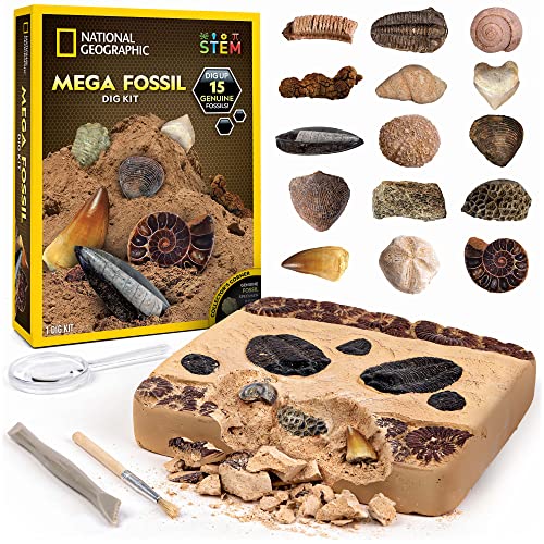 NATIONAL GEOGRAPHIC Mega Fossil Dig Kit - Excavate 15 Prehistoric Fossils Including Dinosaur Bones & Shark Teeth, Educational Toys, Great Science Kit Gift for Girls and Boys (Amazon Exclusive)